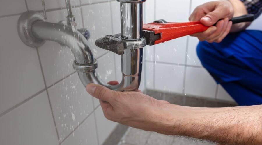 Leak Detection Services in Oran, IA